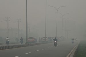 Kepala BNPB Lapor ke Prabowo: Kehidupan Masyarakat Normal meski Asap Karhutla Tebal