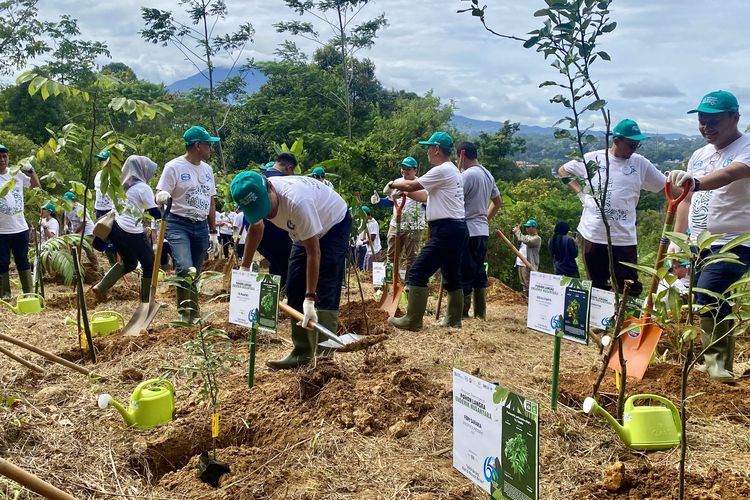WIKA dan BRIN berkolaborasi melakukan penanaman pohon langka endemik di kawasan Wikasatrian, Gadog, Kabupaten Bogor, Jawa Barat, Jumat (8/3/2024). 