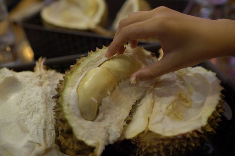 Seorang pelanggan Si Bolang Durian Medan tengah mengambil durian untuk disantap.