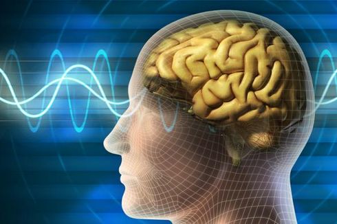 Tiga Hal Pencegah Penurunan Fungsi Otak