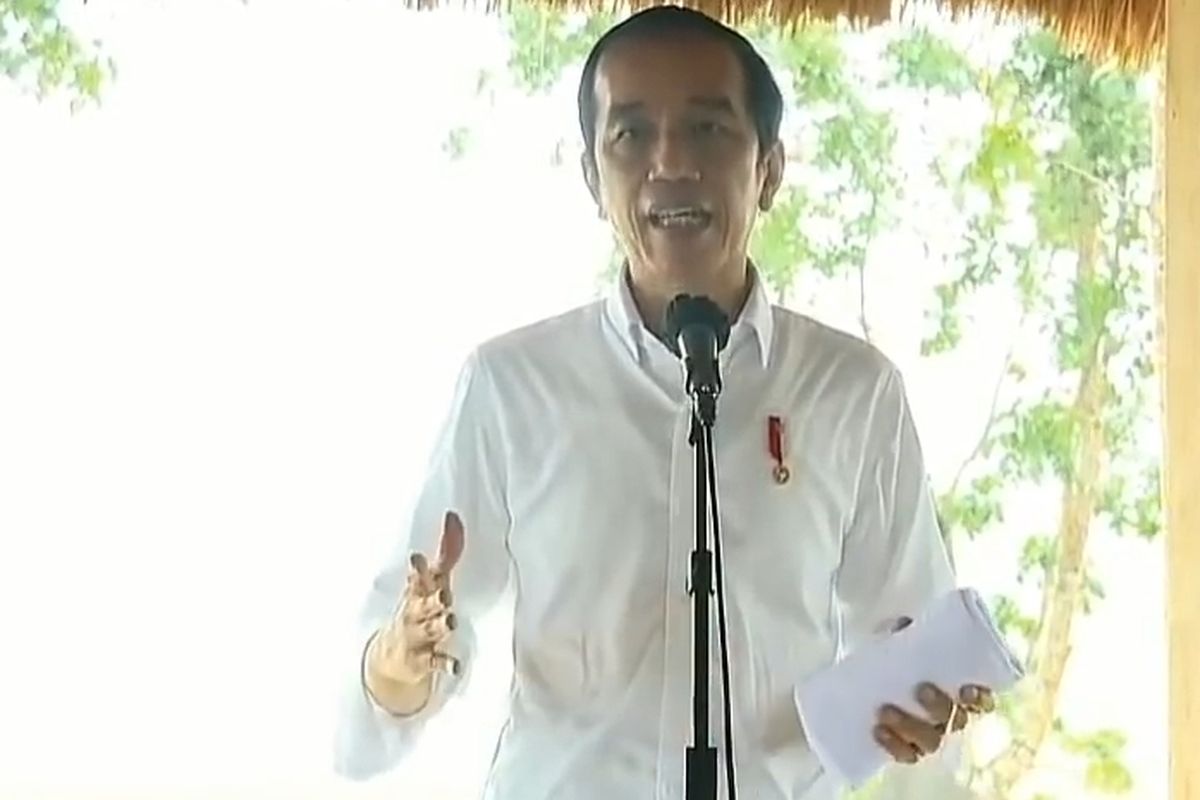 President Joko Widodo inspects crops at Central Sumba Regency in East Nusa Tenggara Province, Tuesday (23/2/2021).