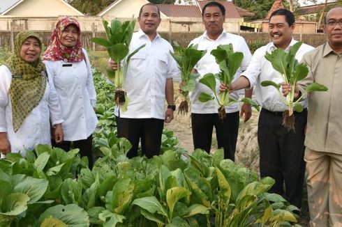 Menteri Desa Dorong Modernisasi Pertanian-Peternakan Tradisional