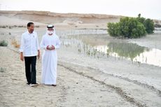 Saat Presiden Jokowi Tanam Mangrove di Abu Dhabi...