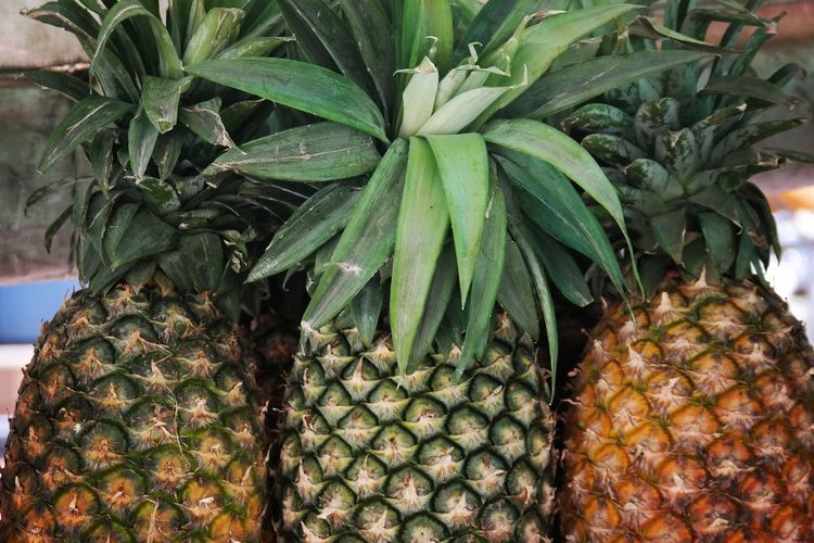 Ilustrasi nanas, buah nanas.