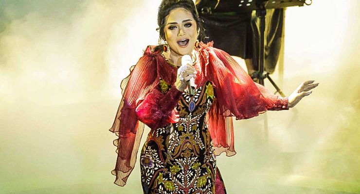 Sang Diva hingga Gladiator Bertekuk Lutut di Pilkada 2024