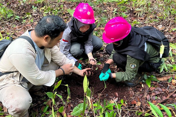 Peserta MSIB Kalimantan Tengah mendapatkan pelatihan tingkat kematangan gambut di lapangan.