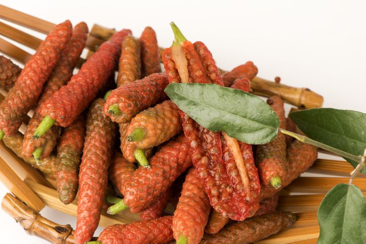 Ilustrasi cabai jawa.