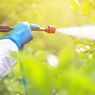 6 Cara Aman Menggunakan Pestisida agar Tak Membahayakan Tubuh