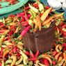 Alasan Harga Cabai Rawit di Kota Jogja Tembus Rp 100.000 Per Kg
