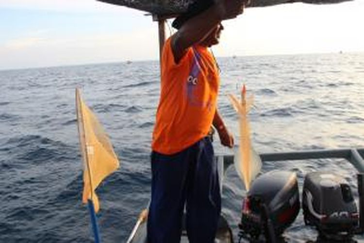 Seekor sotong berhasil tertangkap dalam salah satu rangkaian acara Festival International Squid Jigging 2014 di perairan Pulau Kapas, Terengganu, Malaysia. 