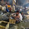 Melihat Lebih Dekat Pusat Pengupasan Kerang Hijau di Kampung Nelayan Cilincing...