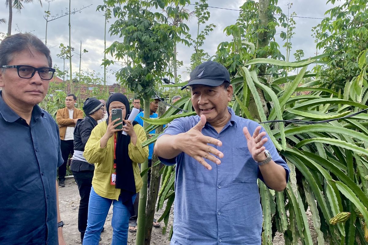 Sekretaris Kementerian Koperasi dan UKM (SesKemenKopUKM) Arif Rahman Hakim berkunjung ke petani buah naga dari Poktan Tunas Sejahtera, binaan Yayasan Dharma Bhakti Astra (YDBA) di Desa Temurejo, Kabupaten Banyuwangi, Jawa Timur, pada Rabu (7/8/2024). 