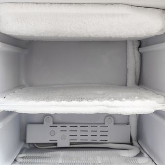 Ilustrasi freezer, ilustrasi bunga es di freezer.