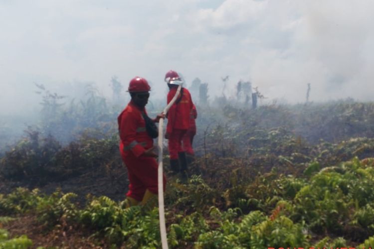 Petugas Manggala Agni Dumai tengah memadamkan api karhutla di Desa Buluh Apo, Kecamatan Pinggir, Kabupaten Bengkalis, Riau, Minggu (19/3/2023).