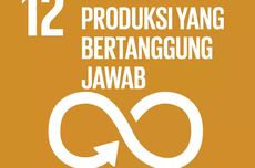 Daftar Indikator Tujuan 12 SDGs Konsumsi dan Produksi yang Bertanggung Jawab