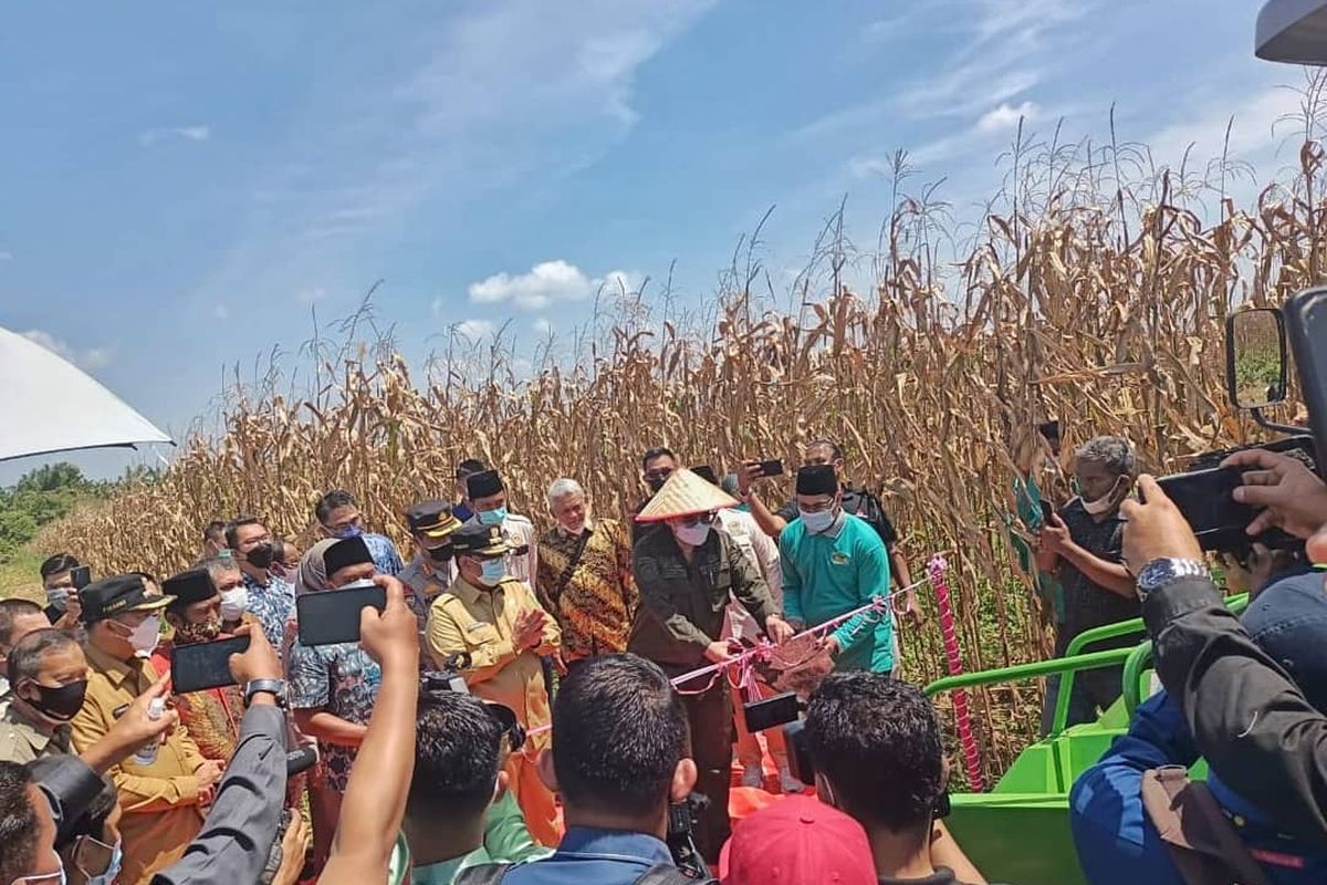 Wakil Menteri Pertanian (Wamentan) Republik Indonesia (RI) Harvick Hasnul Qolbi melakukan kunjungan sekaligus panen jagung di desa Agrowisata, Kota Pekanbaru, Riau.
 
