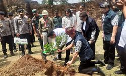 11.920 Pohon Ditanam di Candi Muaro Jambi, Djarum Foundation Beberkan Kriterianya