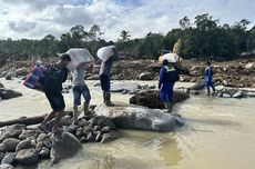 KLH Periksa 8 Perusahaan Diduga Picu Banjir di Sumatera Utara