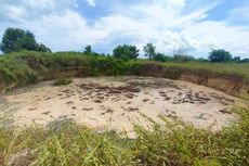 Tanah Milik Warga Tuban Tiba-tiba Ambles 1,5 Meter Menyerupai Danau