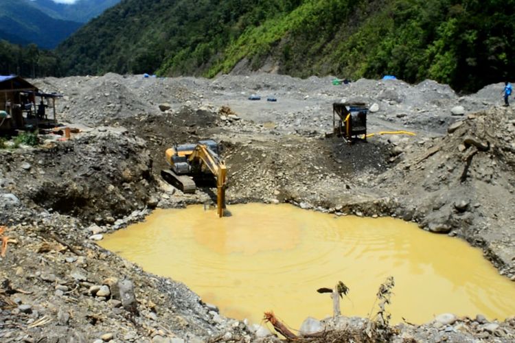 Lokasi tambang emas di Waserawi Manokwari Papua barat terdapat Eksavator Mengeruk tanah mengambil hasil emas