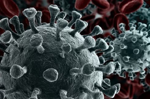 Studi: Varian Baru Virus Corona 