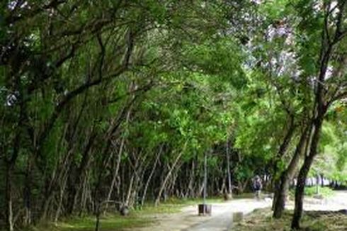 Tanjung Lesung Conservation Park Direncanakan Selesai 2016