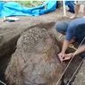 Fosil Kura-kura Purba Berusia Jutaan Tahun Ditemukan di Sumedang