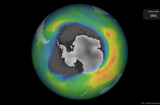 Senyawa yang Menyebabkan Lapisan Ozon Berlubang