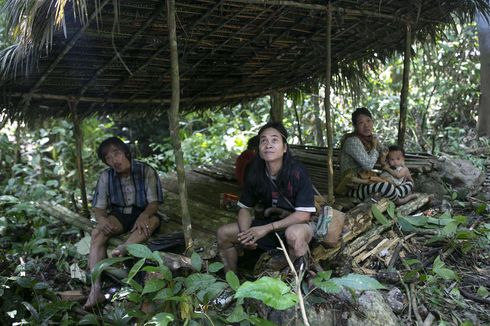 BERITA FOTO: Suku Pemburu dan Peramu Terakhir di Hutan Kalimantan, Diakui sebagai Masyarakat Hukum Adat