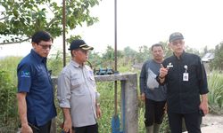 Dorong Peningkatan Produksi Padi, Kementan Optimalkan Potensi Rawa Tadah Hujan di OKI