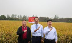 Kementrans Pelajari Keberhasilan Relokasi 1,3 Juta Penduduk di China yang Kini Sukses Menjadi Kawasan Maju