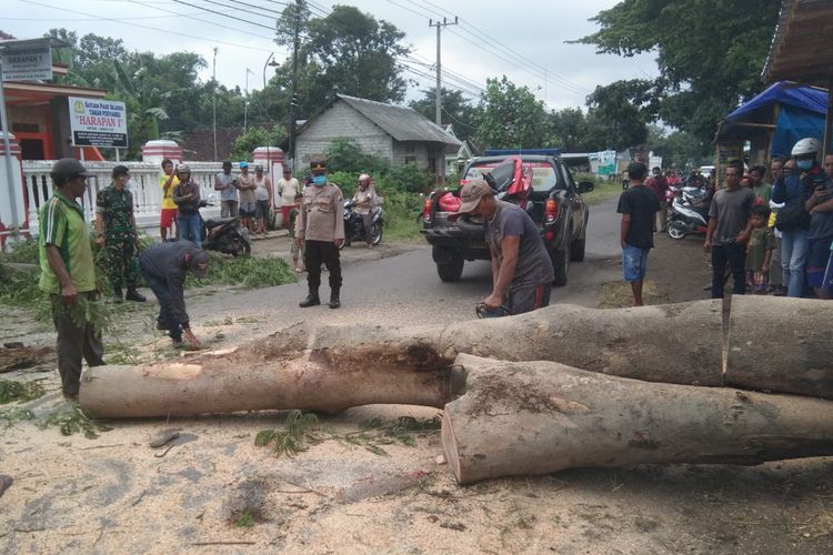 Petugas dibantu warga Desa Kepung, Kecamatan Kepung, Kabupaten Kediri,Jawa Timur membersihkan pohon yang tumbang, Selasa (21/12/2021).