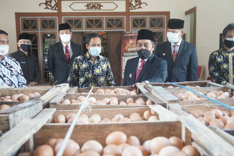 Secara simbolis bantuan telur untuk nakes diserahkan langsung oleh Ketua Paguyuban PPN Kabupaten Magelang, Iriyadi, kepada Bupati Magelang, Zaenal Arifin, di rumah dinas Bupati Magelang, Kamis (29/7/2021).