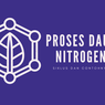 Proses Daur Nitrogen, Siklus dan Contohnya