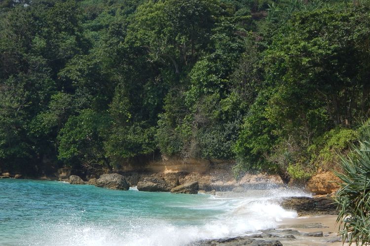 Pantai Sanggar di Tulungagung, Jawa Timur.