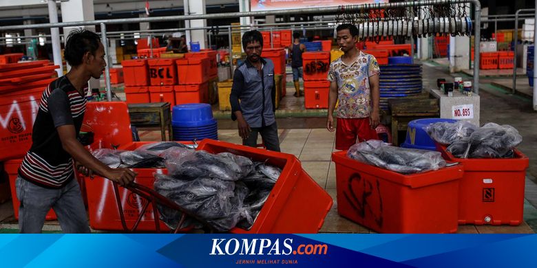 Apa yang Dimaksud dengan Kegiatan Ekonomi? - Vimarsana News