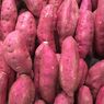 Ciri-ciri Ubi Ungu yang Manis, Jangan Salah Beli