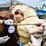 Hukum Menjual Daging Kurban, Haram atau Boleh? Ini Kata Ulama