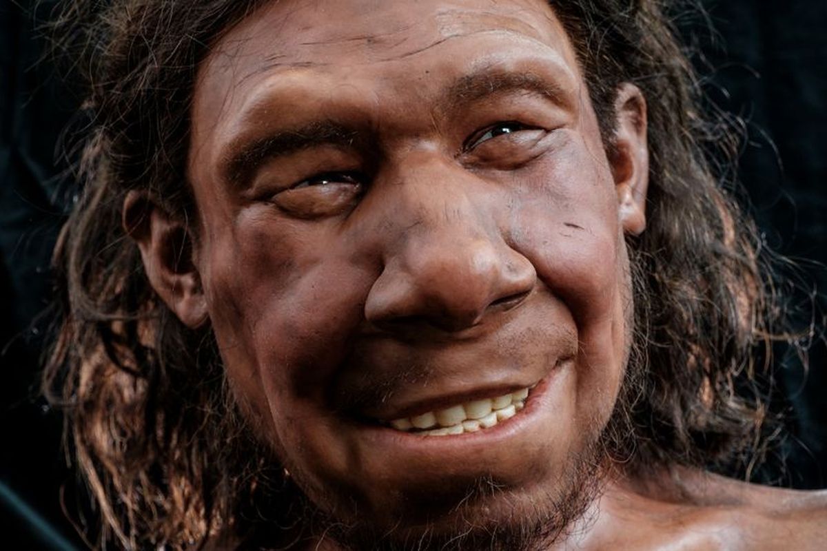 Hasil rekonstruksi wajah manusia purba Neanderthal bernama Krijn dipamerkan di National Museum of Antiquities, Belanda