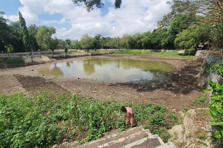Ratusan Telaga di Gunungkidul Mengering, Berubah Jadi Lahan Pertanian