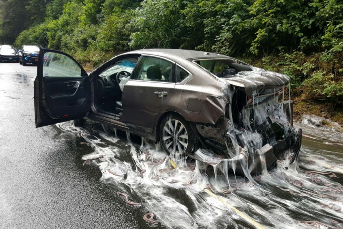 Sebuah mobil yang terimbas oleh tumpahan remang.