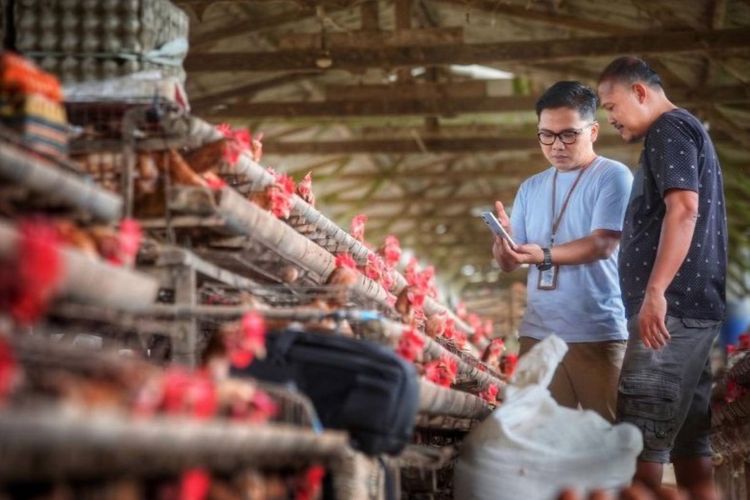 Indeks Bisnis UMKM BRI Q2-2026 Tembus 102,1, Aktivitas Usaha Masih Ekspansif