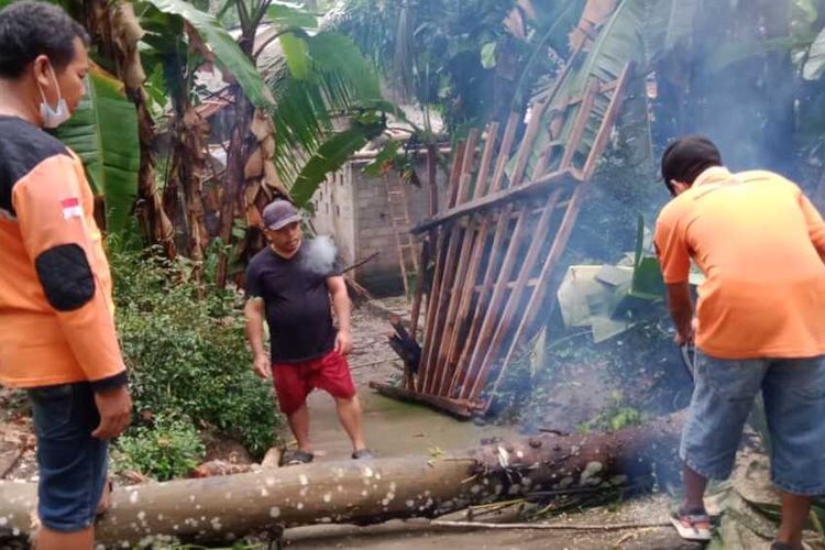 Banyak rumah tertimpa pohon tumbang di Kalurahan (desa) Banjaroya, Kalibawang, Kulon Progo, Daerah Istimewa Yogyakarta, Sabtu (15/11/2020). Peristiwa berlangsung saat terjadi hujan deras dan angin kencang.