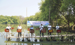 Perkuat Ketahanan Iklim, One Financial Group Gagas Inisiatif Tanam 1.500 Pohon Mangrove