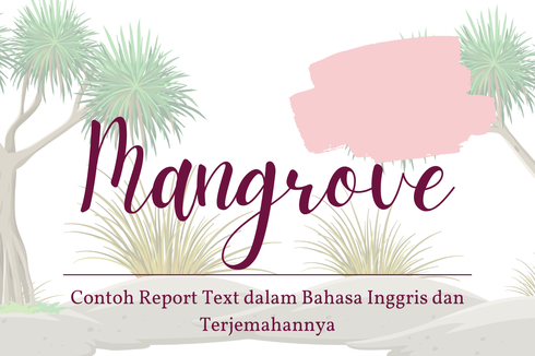 Contoh Report Text tentang Mangrove Trees dan Terjemahannya