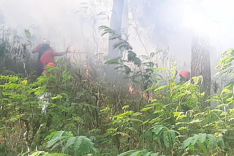 Warga coba padamkan api di hutan pinus Desa Oro-oro Ombo, Kabupaten Lumajang, Kamis (26/10/2023)