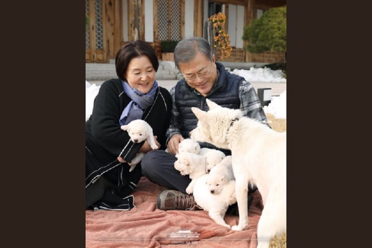 Presiden Korea Selatan Moon Jae-in dan Ibu Negara Kim Jung-sook bercengkerama dengan anak anjing yang lahir dari induk bernama Gomi. Anjing betina itu merupakan pemberian Kim Jong Un. (Twitter/The Blue House KR)