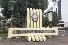 Undip Buka Beasiswa S1 Gratis buat Prodi Ini, Ada Biaya Hidup