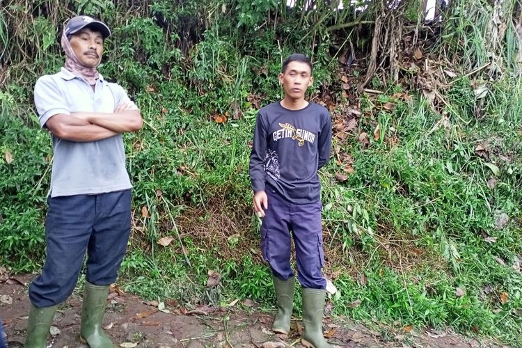 Para peternak di Desa Wanasuka, Kecamatan Pangalengan, Kabupaten Bandung, Jawa Barat menceritakan situasi dan kondisi kala bertahan dari badai penyakit PMK hingga mampu melewatinya.
