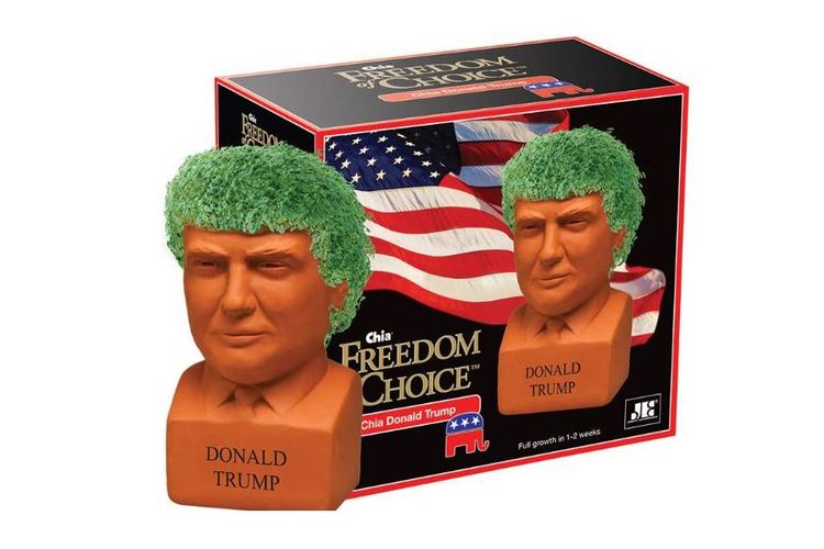 Chia Pet